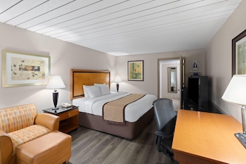 Room, 1 King Bed, Accessible, Non Smoking (Mobility)