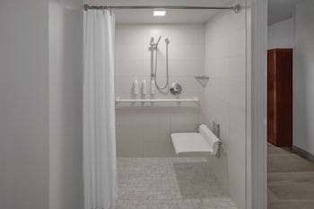Deluxe Room, 1 King Bed (Mobility/Hearing Access, Roll-in Shwr)