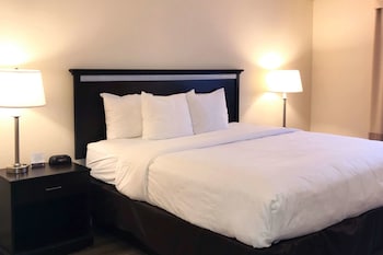 Room, 1 King Bed, Accessible, Non Smoking (Roll in Shower)