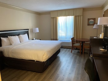 Room, 1 King Bed, Accessible, Non Smoking (Roll in Shower)