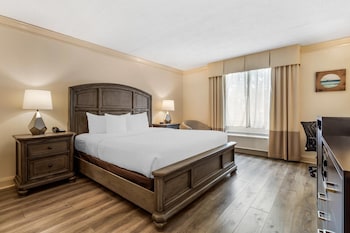 Standard Room, 1 King Bed, Non Smoking