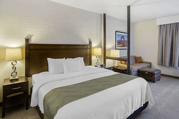 Suite, 1 King Bed, Accessible, Non Smoking