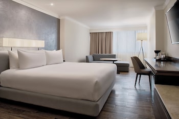 Room, 1 King Bed