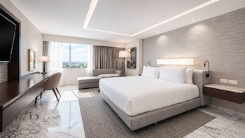 Suite, 1 King Bed (Regency)