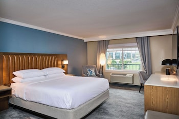 Deluxe Room, 1 King Bed