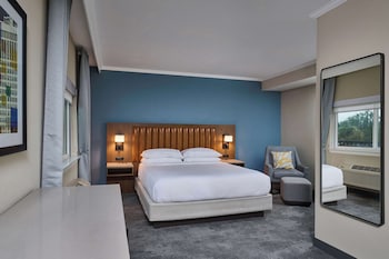 Deluxe Room, 1 King Bed, Mountain View