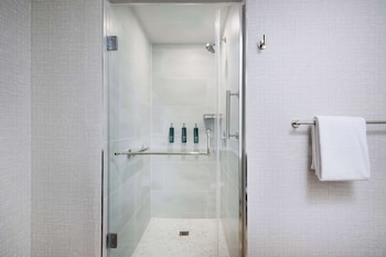 Suite, 1 King Bed