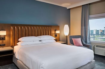 Suite, 1 King Bed