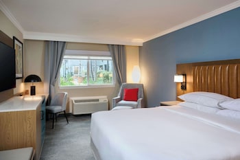 Room, 1 King Bed