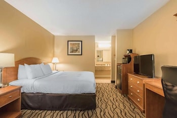 Standard Room, 1 King Bed, Non Smoking