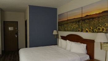 Standard Room, 1 King Bed