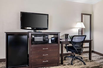 Standard Room, 1 King Bed, Non Smoking, Refrigerator & Microwave (Larger Room;with Sofabed)