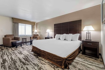 Standard Room, 1 King Bed, Non Smoking, Refrigerator & Microwave (Larger Room)