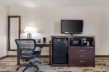 Standard Room, 1 King Bed, Non Smoking, Refrigerator & Microwave (Larger Room)
