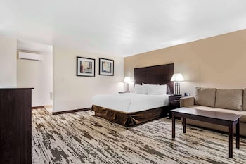 Standard Room, 1 King Bed, Non Smoking, Refrigerator & Microwave (Larger Room;with Sofabed)