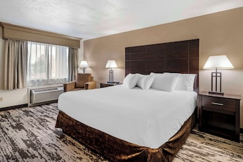 Standard Room, 1 King Bed, Non Smoking, Refrigerator & Microwave