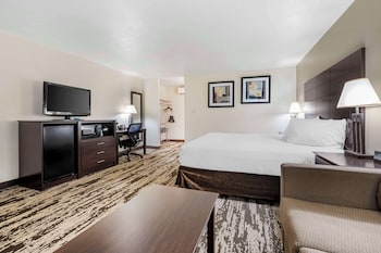 Standard Room, 1 King Bed, Non Smoking, Refrigerator & Microwave (Larger Room;with Sofabed)
