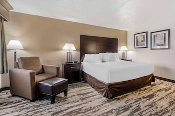 Standard Room, 1 King Bed, Non Smoking, Refrigerator & Microwave