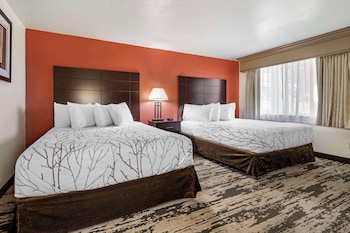 Standard Room, 2 Queen Beds, Accessible, Refrigerator & Microwave