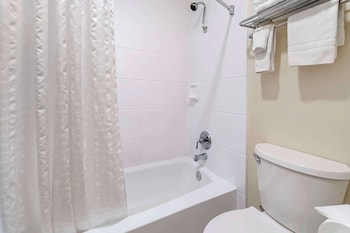 Standard Room, 1 King Bed, Non Smoking, Refrigerator & Microwave (Larger Room;with Sofabed)