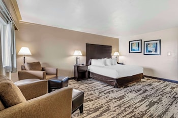 Standard Room, 1 King Bed, Non Smoking, Refrigerator & Microwave (Larger Room)
