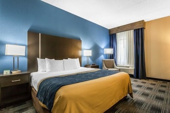 Standard Room, 1 King Bed, Non Smoking
