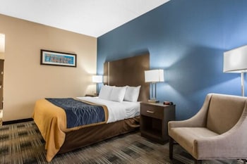 Standard Room, 1 King Bed, Non Smoking