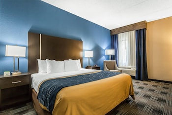 Room, 1 King Bed, Accessible, Non Smoking