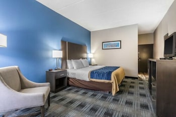 Standard Room, 1 King Bed, Non Smoking