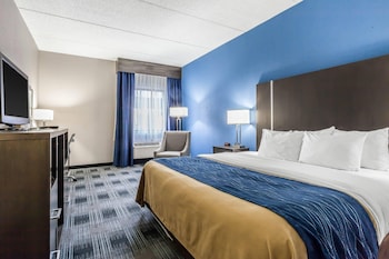 Standard Room, 1 King Bed, Non Smoking