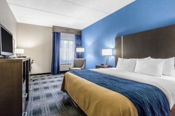 Standard Room, 1 King Bed, Non Smoking