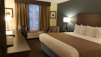 Room, 1 Queen Bed, Non Smoking
