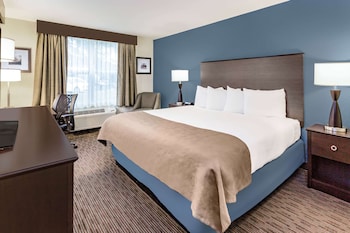 Room, 1 King Bed, Non Smoking