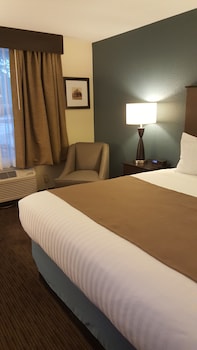 Room, 1 King Bed, Non Smoking