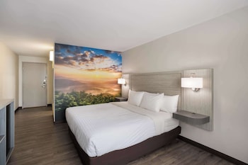 Room, 1 Queen Bed, Accessible, Non Smoking