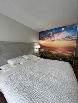 Room, 1 Queen Bed, Accessible, Non Smoking