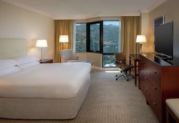 Room, 1 King Bed, Accessible, Bathtub