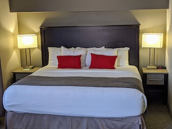 Room, 1 King Bed, Non Smoking