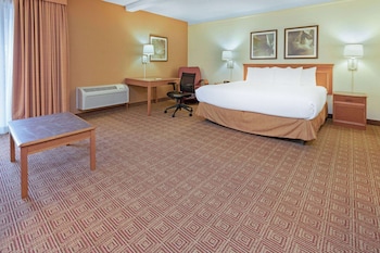 Deluxe Suite, 1 King Bed, Non Smoking