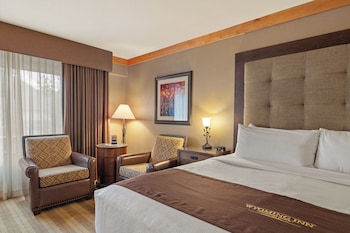 Premium Room, 1 King Bed (Premium King)