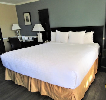 Room, 1 King Bed, Accessible, Non Smoking