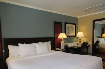 Room, 1 King Bed, Accessible, Non Smoking