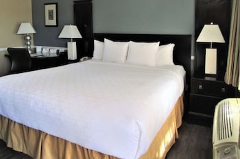 Room, 1 King Bed, Accessible, Non Smoking