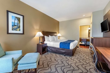Standard Room, 1 King Bed Non Smoking