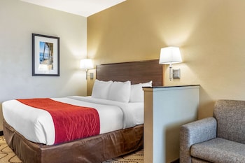 Suite, 1 King Bed with Sofa Bed, Non Smoking