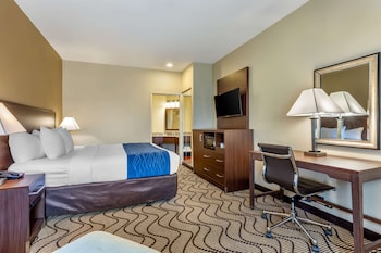 Standard Room, 1 King Bed Non Smoking