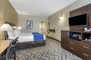 Accessible Room, 1 King Bed, Roll-In Shower, Non Smoking