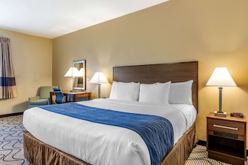 Accessible Room, 1 King Bed, Roll-In Shower, Non Smoking
