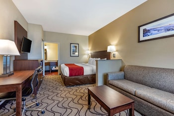 Suite, 1 King Bed with Sofa Bed, Non Smoking