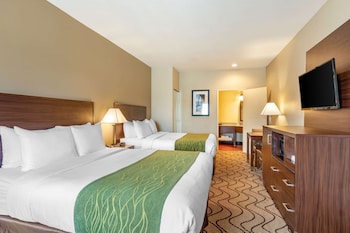 Standard Room, 2 Queen Beds, Non Smoking, Pool View